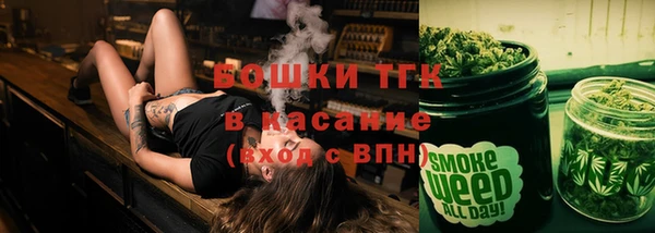 сатива Михайлов