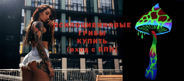 СК Михайловка
