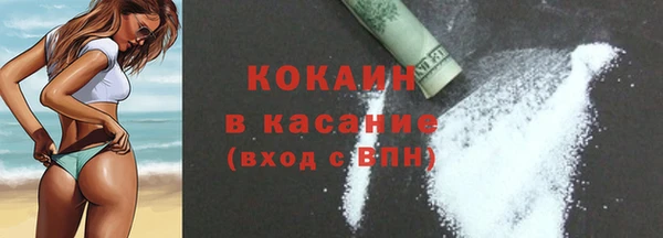 сатива Михайлов