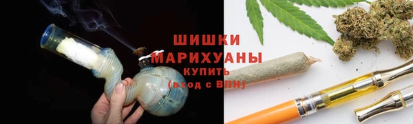 сатива Михайлов