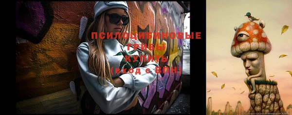 СК Михайловка