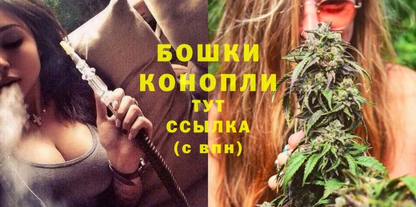 сатива Михайлов