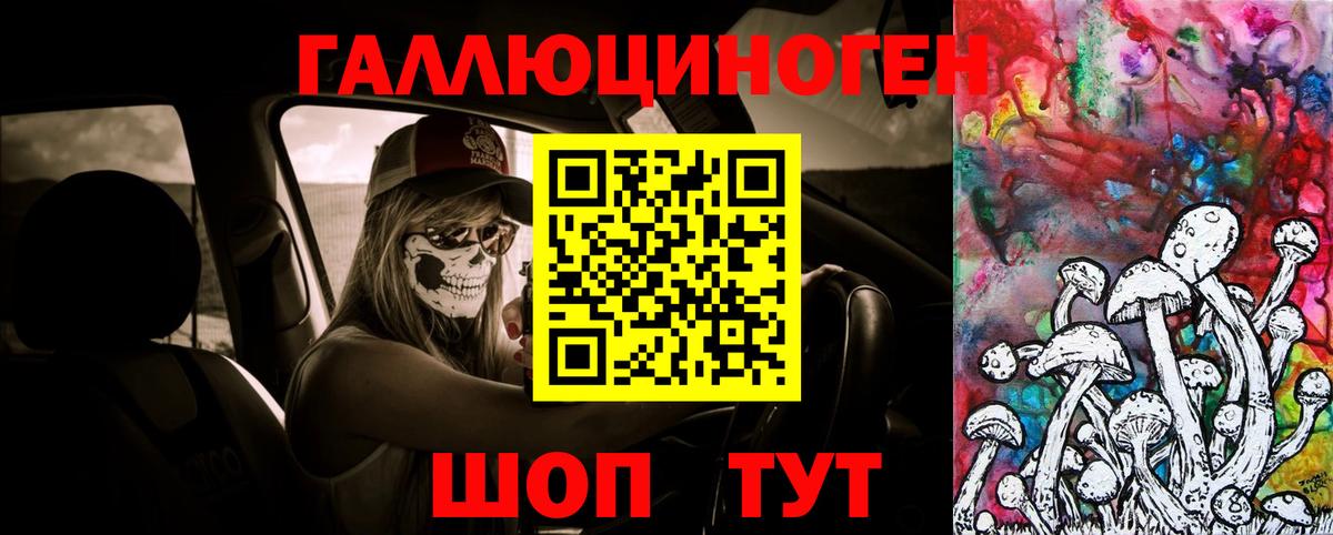 Галлюциногенные грибы Cubensis Светлоград